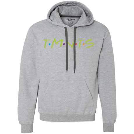 Sweatshirts Sport Grey / S TMNTS Premium Fleece Hoodie