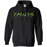 Sweatshirts Black / S TMNTS Pullover Hoodie