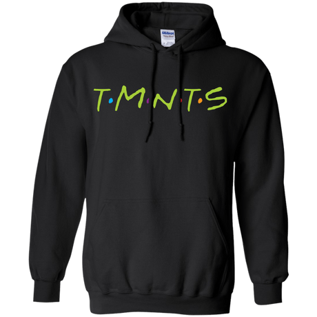 Sweatshirts Black / S TMNTS Pullover Hoodie