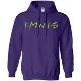 Sweatshirts Purple / S TMNTS Pullover Hoodie