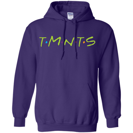 Sweatshirts Purple / S TMNTS Pullover Hoodie