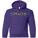 Sweatshirts Purple / YS TMNTS Youth Hoodie