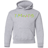 Sweatshirts Sport Grey / YS TMNTS Youth Hoodie
