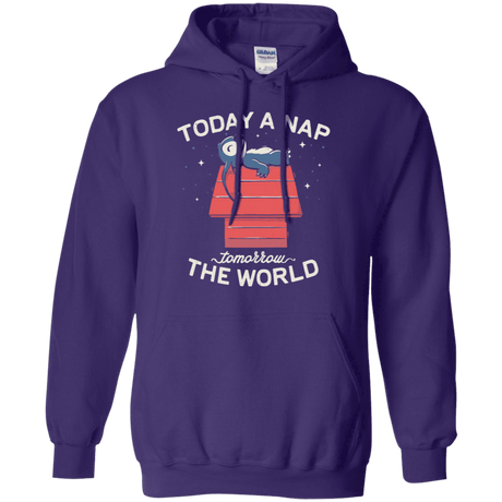 Sweatshirts Purple / S Today a Nap Tomorrow the World Pullover Hoodie