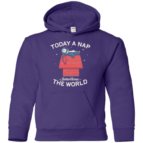 Sweatshirts Purple / YS Today a Nap Tomorrow the World Youth Hoodie