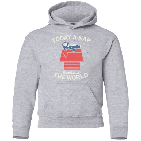 Sweatshirts Sport Grey / YS Today a Nap Tomorrow the World Youth Hoodie