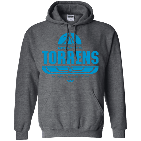 Sweatshirts Dark Heather / Small Torrens Pullover Hoodie