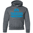 Sweatshirts Dark Heather / YS Torrens Youth Hoodie