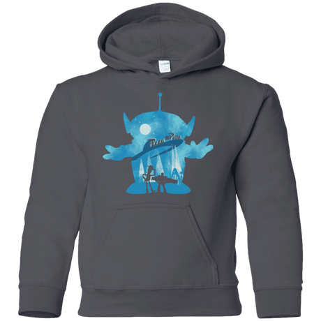 Sweatshirts Charcoal / YS Toy Portrait Youth Hoodie