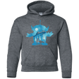 Sweatshirts Dark Heather / YS Toy Portrait Youth Hoodie