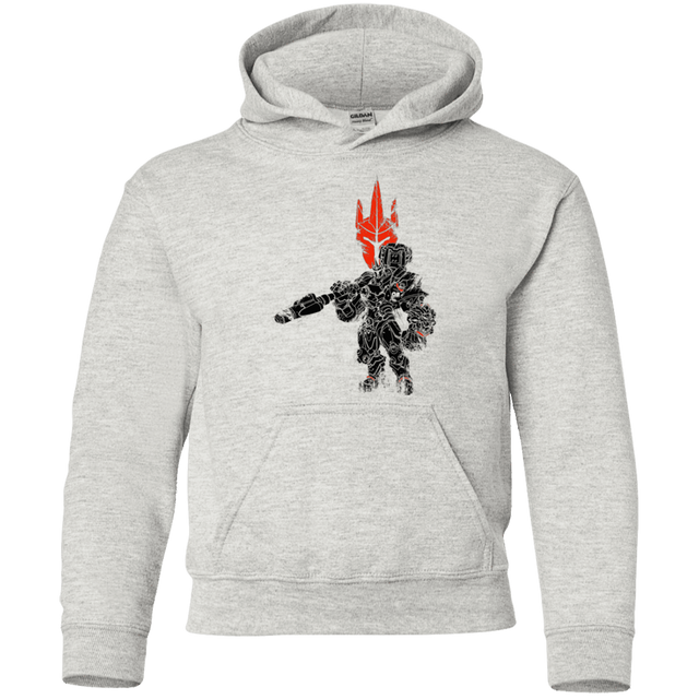 Sweatshirts Ash / YS TRADITIONAL REINHARDT Youth Hoodie