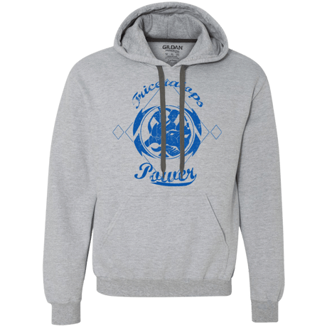 Sweatshirts Sport Grey / Small Triceratops Premium Fleece Hoodie