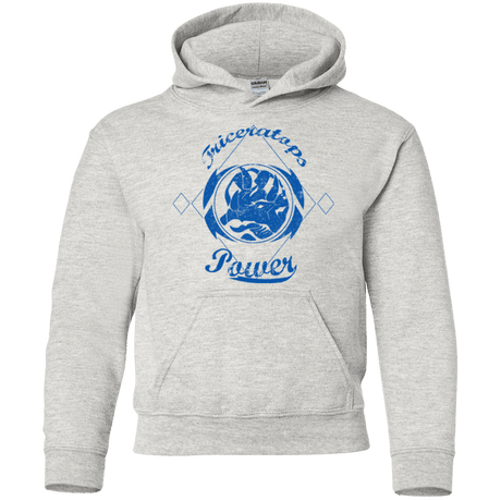 Sweatshirts Ash / YS Triceratops Youth Hoodie
