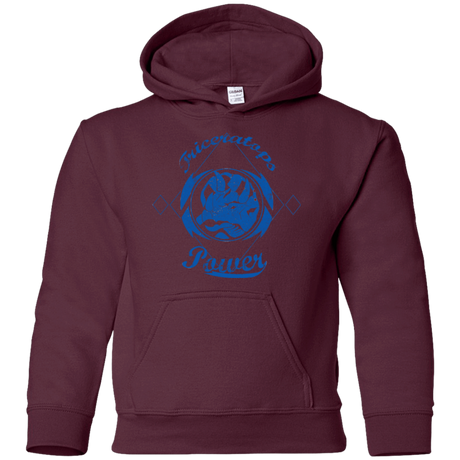 Sweatshirts Maroon / YS Triceratops Youth Hoodie