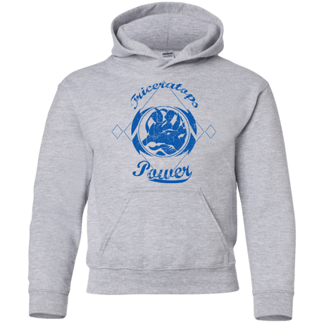 Sweatshirts Sport Grey / YS Triceratops Youth Hoodie