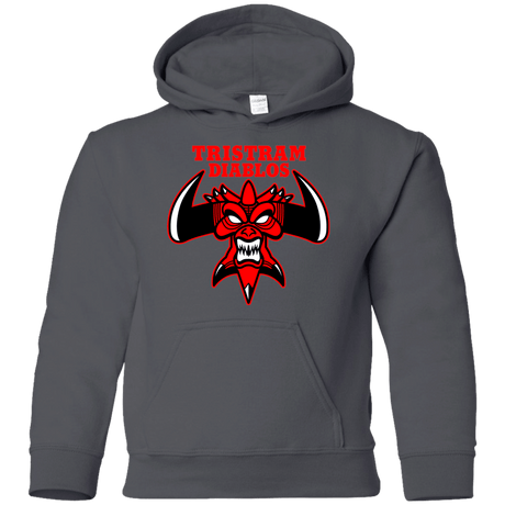 Sweatshirts Charcoal / YS Tristram Diablos Youth Hoodie