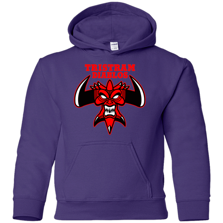 Sweatshirts Purple / YS Tristram Diablos Youth Hoodie