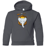 Sweatshirts Charcoal / YS Trophy Babar Youth Hoodie