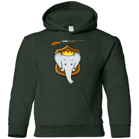 Sweatshirts Forest Green / YS Trophy Babar Youth Hoodie