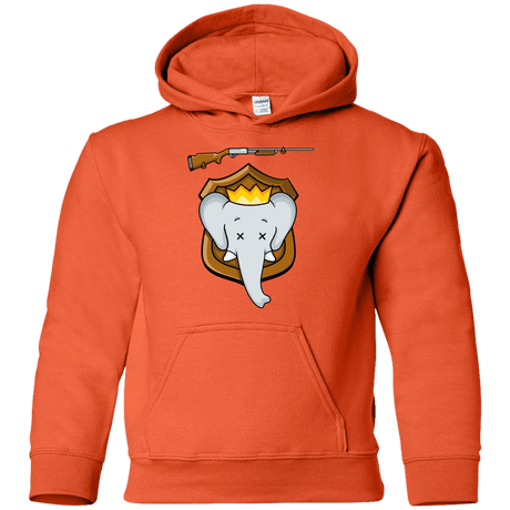 Sweatshirts Orange / YS Trophy Babar Youth Hoodie