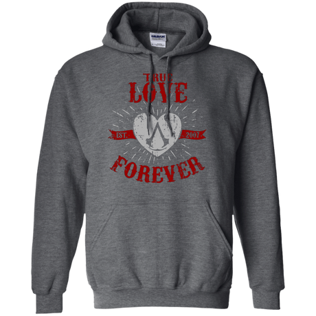 Sweatshirts Dark Heather / Small True Love Forever Assasin Pullover Hoodie