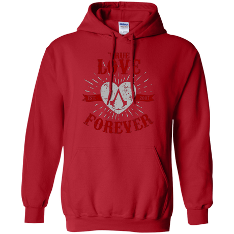 Sweatshirts Red / Small True Love Forever Assasin Pullover Hoodie