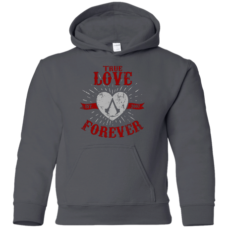 Sweatshirts Charcoal / YS True Love Forever Assasin Youth Hoodie