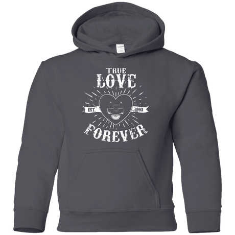 Sweatshirts Charcoal / YS True Love Forever Black Youth Hoodie
