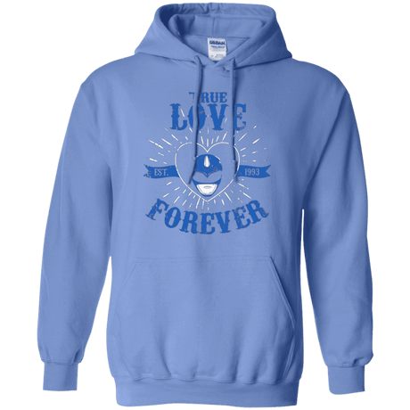 Sweatshirts Carolina Blue / Small True Love Forever Blue Pullover Hoodie