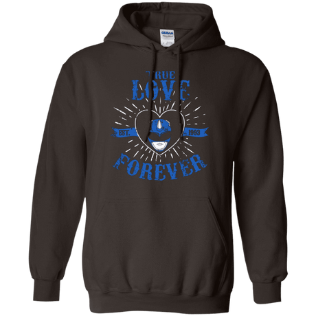 Sweatshirts Dark Chocolate / Small True Love Forever Blue Pullover Hoodie