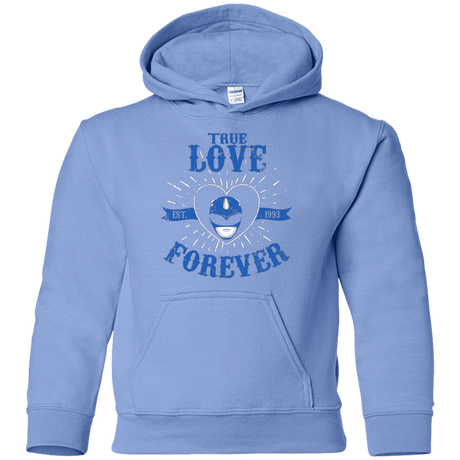 Sweatshirts Carolina Blue / YS True Love Forever Blue Youth Hoodie