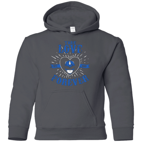 Sweatshirts Charcoal / YS True Love Forever Blue Youth Hoodie