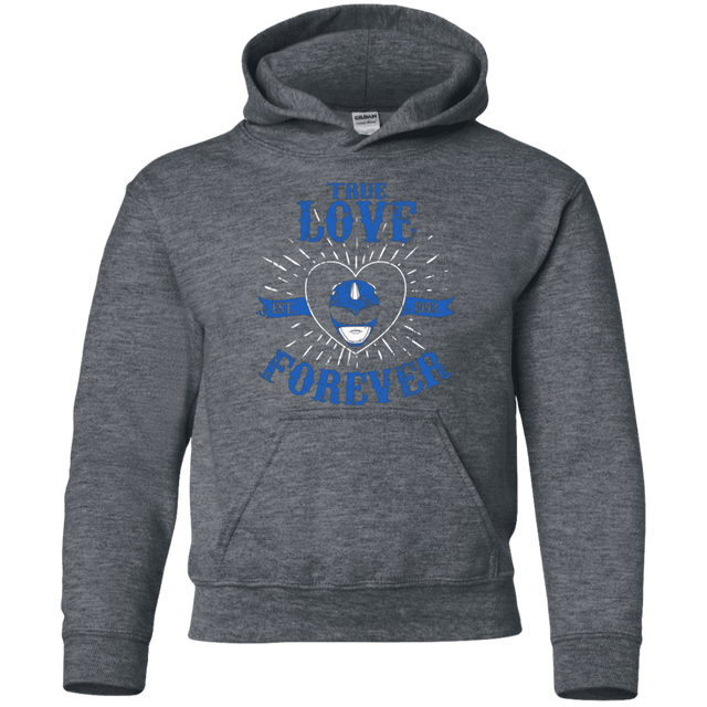 Sweatshirts Dark Heather / YS True Love Forever Blue Youth Hoodie