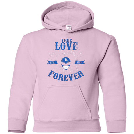 Sweatshirts Light Pink / YS True Love Forever Blue Youth Hoodie