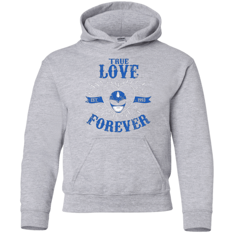 Sweatshirts Sport Grey / YS True Love Forever Blue Youth Hoodie