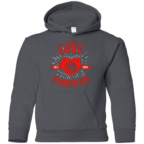 Sweatshirts Charcoal / YS True Love Forever Dragon Youth Hoodie