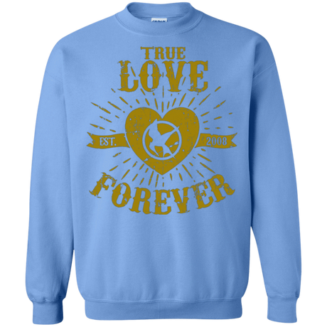Sweatshirts Carolina Blue / Small True Love Forever Games Crewneck Sweatshirt