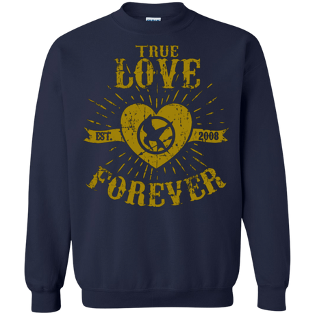 Sweatshirts Navy / Small True Love Forever Games Crewneck Sweatshirt