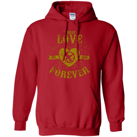 Sweatshirts Red / Small True Love Forever Games Pullover Hoodie