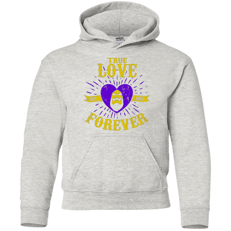 Sweatshirts Ash / YS True Love Forever Masters Youth Hoodie