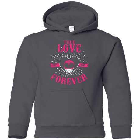 Sweatshirts Charcoal / YS True Love Forever Pink Youth Hoodie