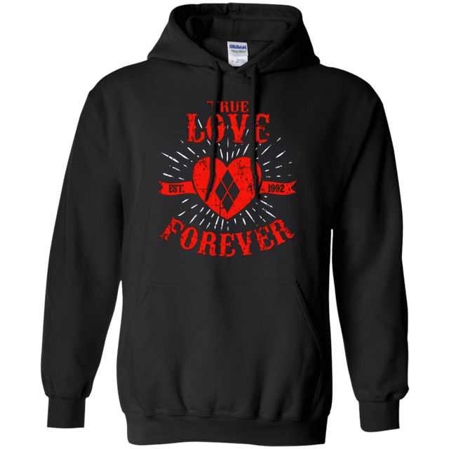 Sweatshirts Black / Small True Love Forever Quinn Pullover Hoodie