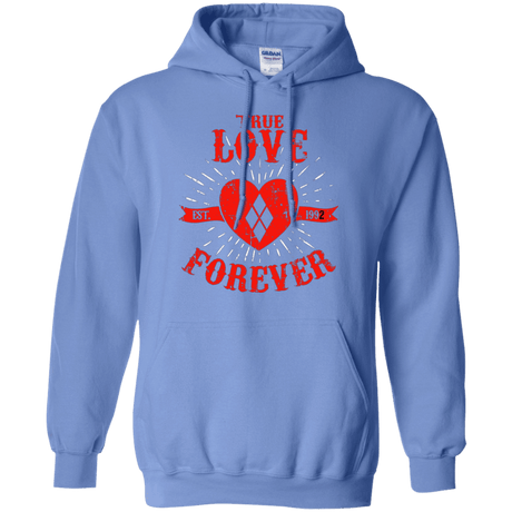 Sweatshirts Carolina Blue / Small True Love Forever Quinn Pullover Hoodie