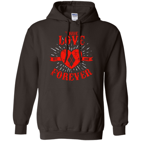 Sweatshirts Dark Chocolate / Small True Love Forever Quinn Pullover Hoodie