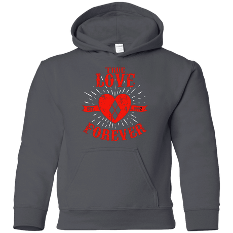Sweatshirts Charcoal / YS True Love Forever Quinn Youth Hoodie