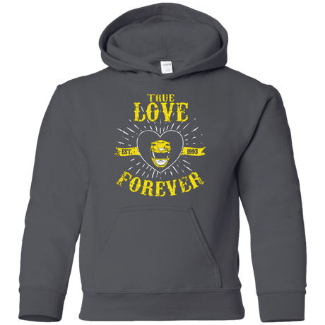 Sweatshirts Charcoal / YS True Love Forever Yellow Youth Hoodie