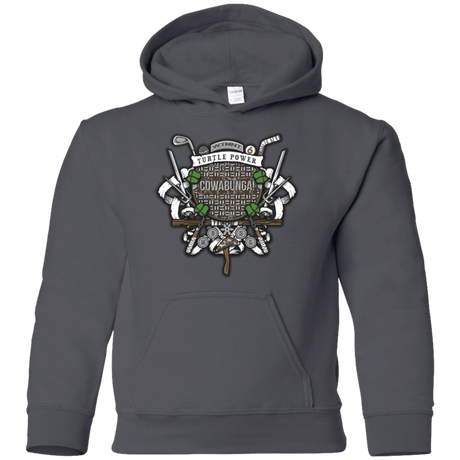 Sweatshirts Charcoal / YS Turtle Power! Youth Hoodie