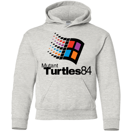 Sweatshirts Ash / YS Turtles 84 Youth Hoodie