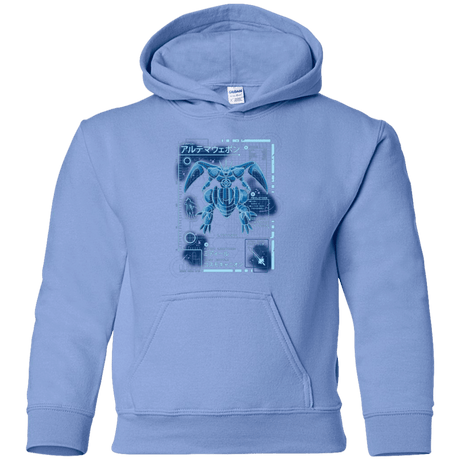 Sweatshirts Carolina Blue / YS ULTIMATE BLUE PRINT Youth Hoodie