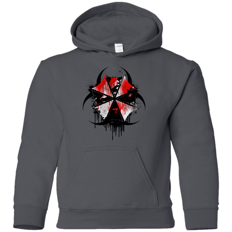 Sweatshirts Charcoal / YS Umbrella Corp Youth Hoodie